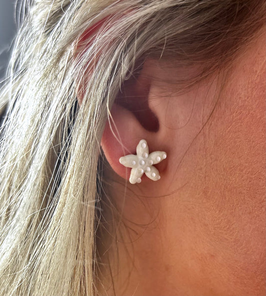 Sand Dollar Starfish Studs