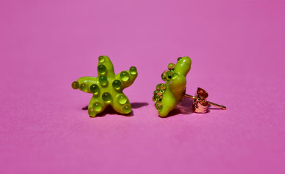 Sea Glass Starfish Studs