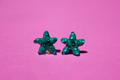 Pacific Teal Starfish Studs